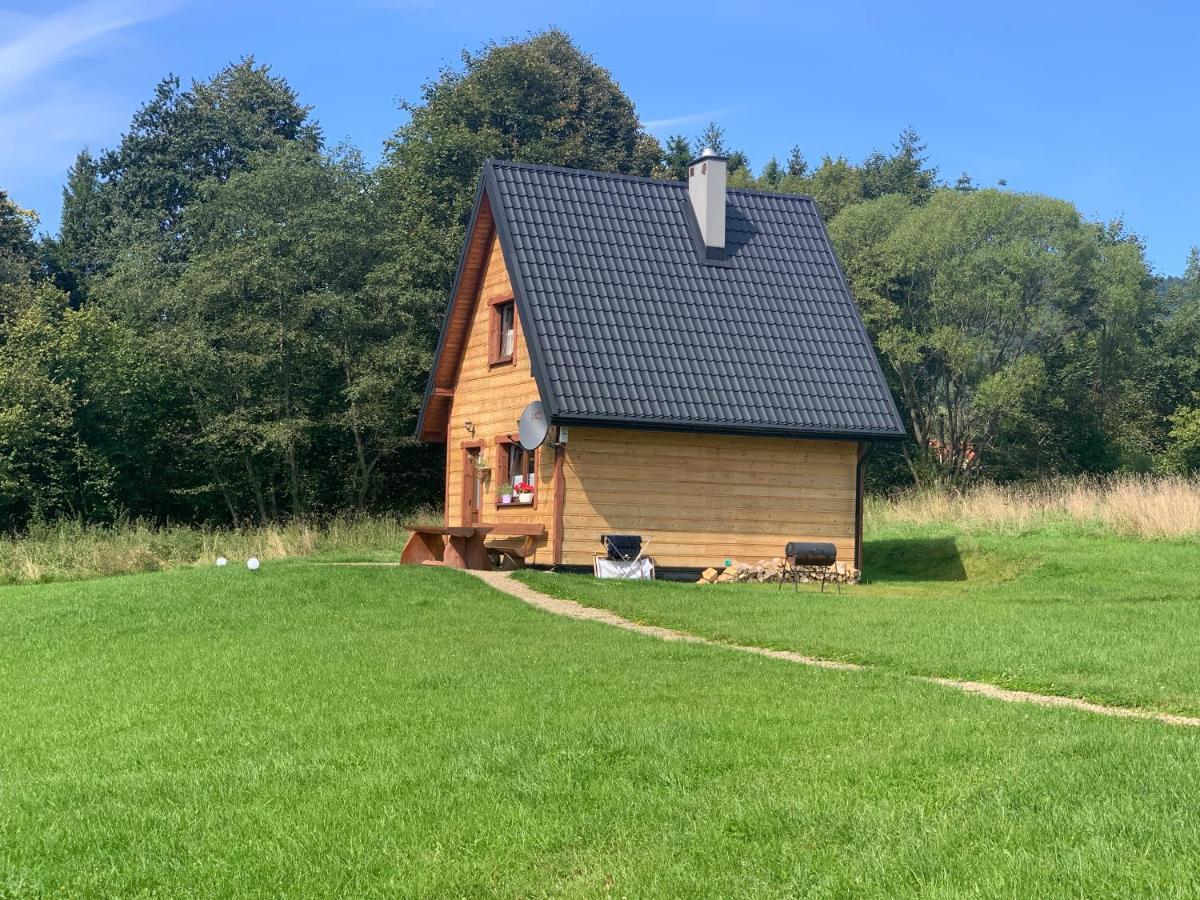 Dwernik Bukowina Bieszczady Villa Екстериор снимка