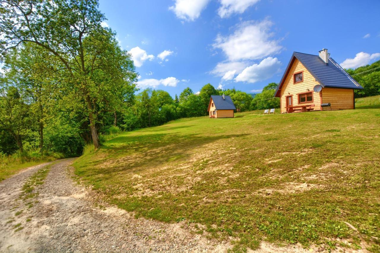 Dwernik Bukowina Bieszczady Villa Екстериор снимка